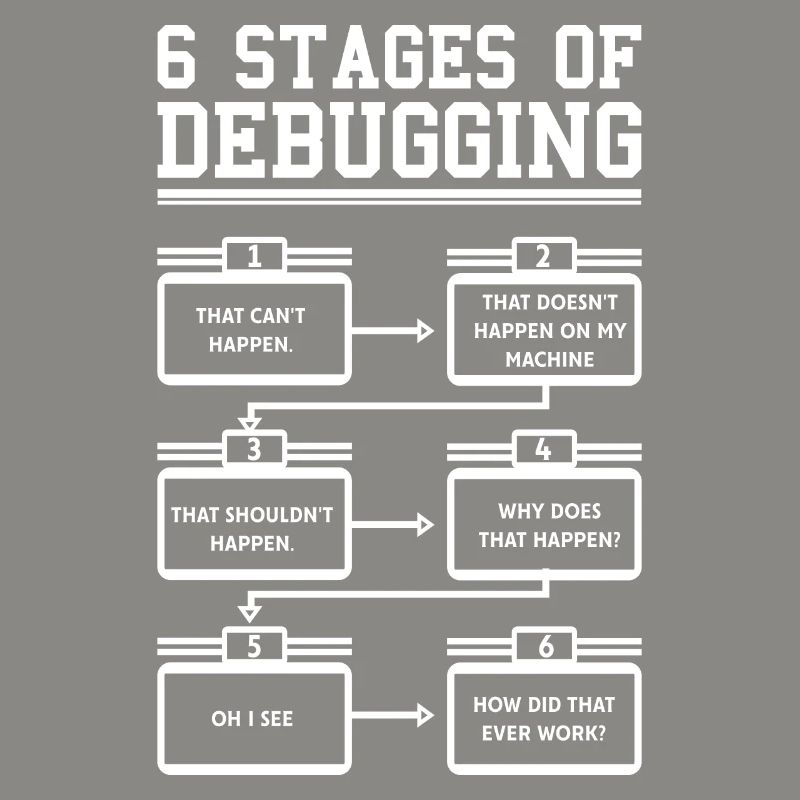 6 Stages of Debugging Programmer Software