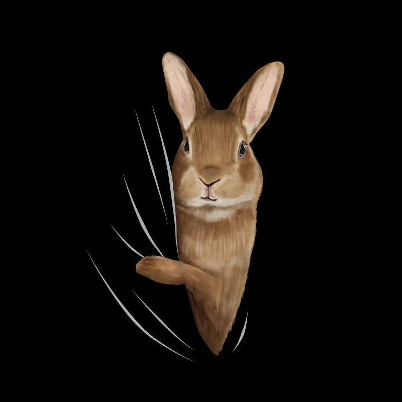 Bunny rabbit bunny rabbit lover gift