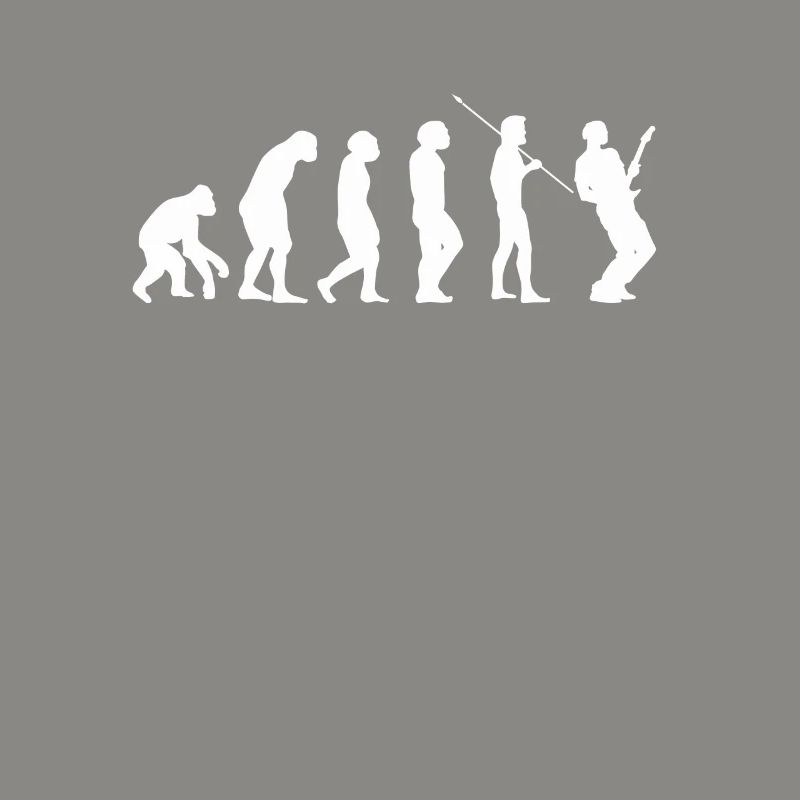 Guitare Guitar evolution Evolution