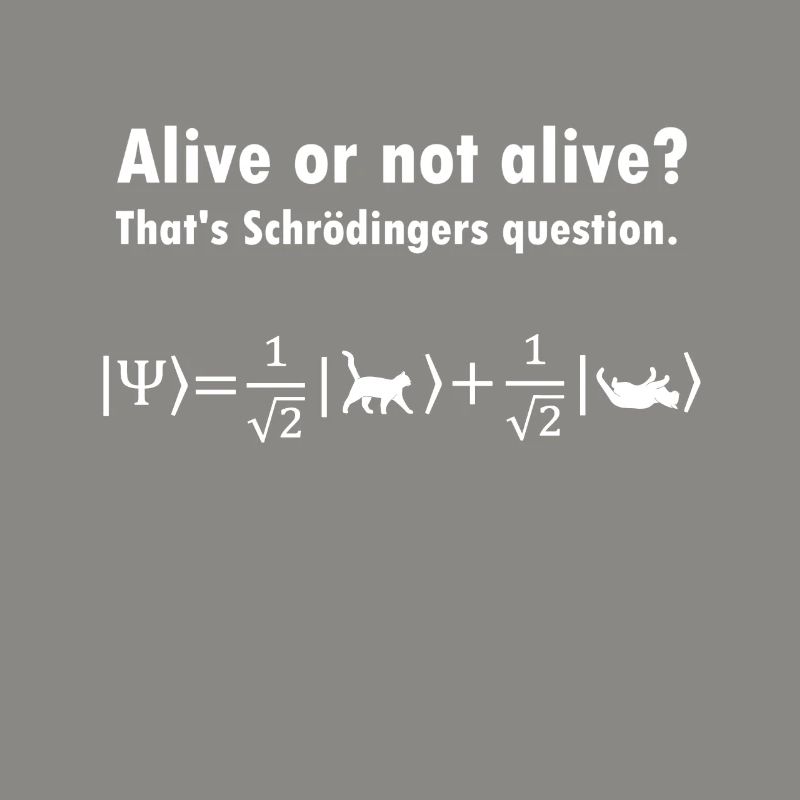 Schrödinger's Cat - Physicist Gift Physics Nerd