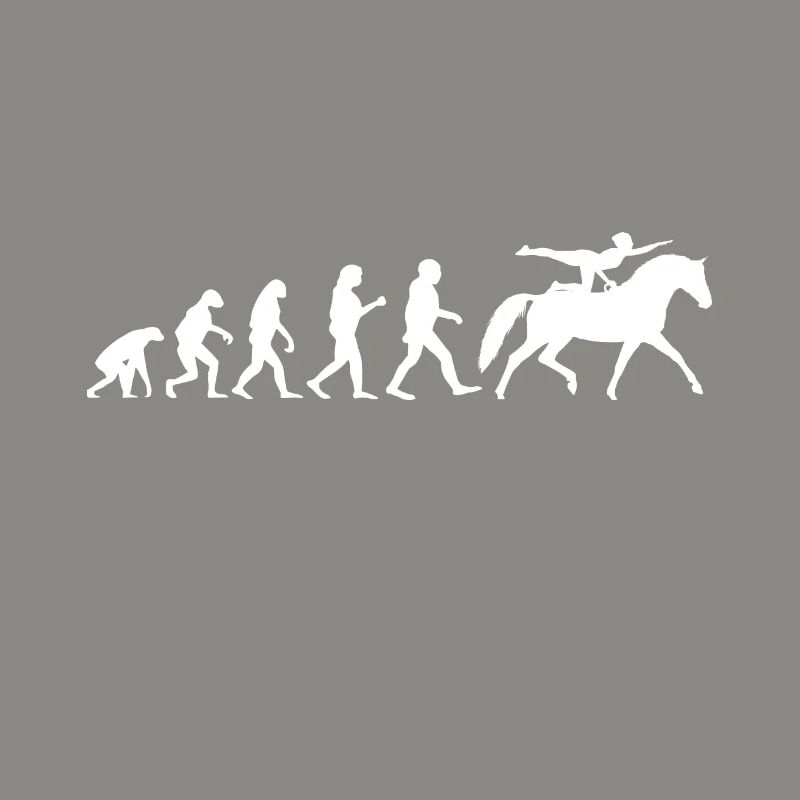 Evolution Voltigier Chevaux Équestres Voltige