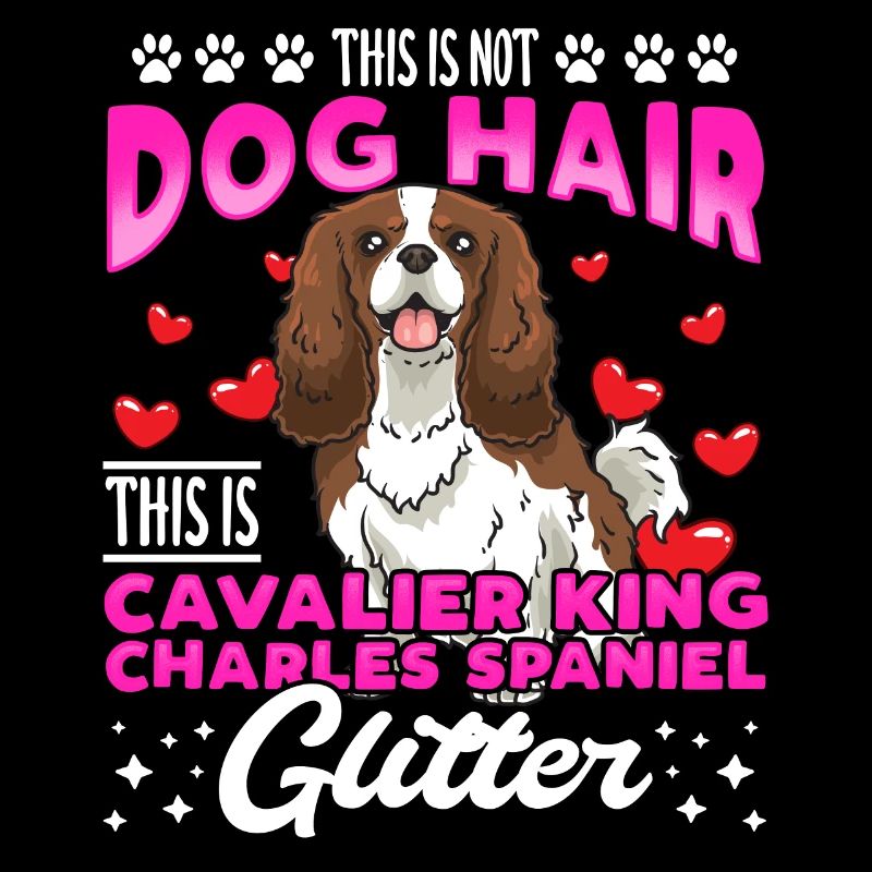 Cavalier King Charles Spaniel drôle sort