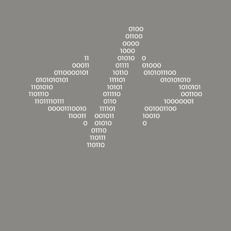 Hacker Hacking Code Computer Java Spruch Geschenk