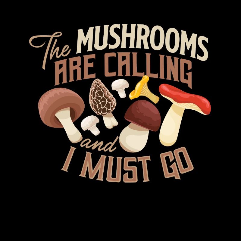 Champignons champignons champignons champignons panier champignon automne
