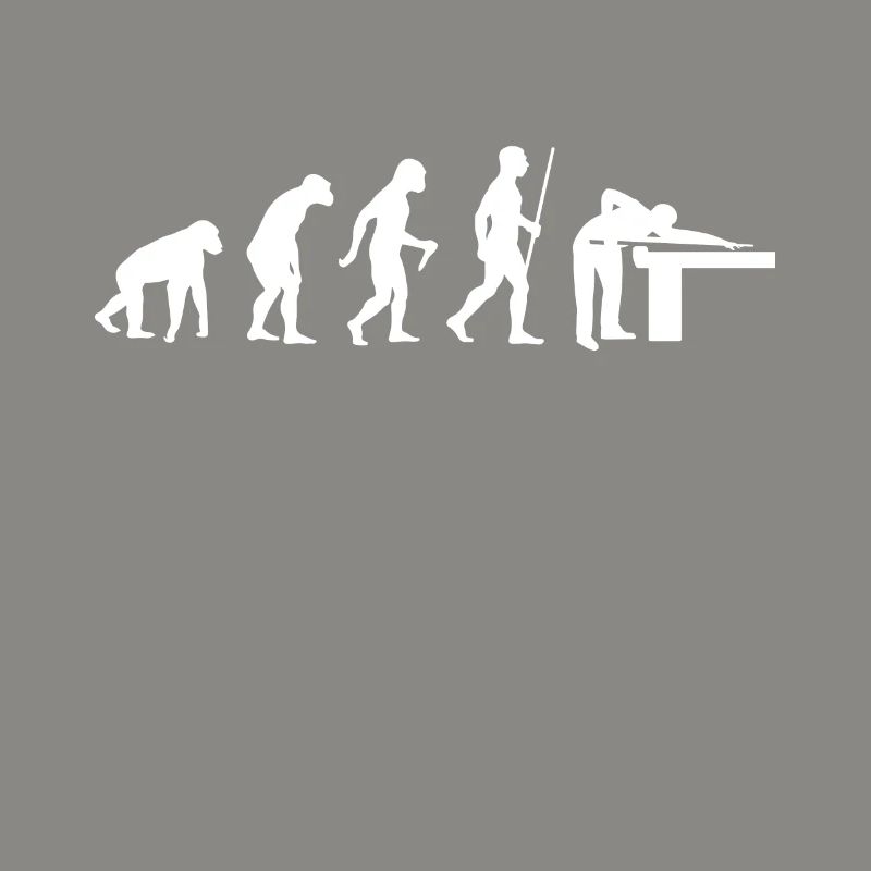 Billiard Evolution Billiards Player