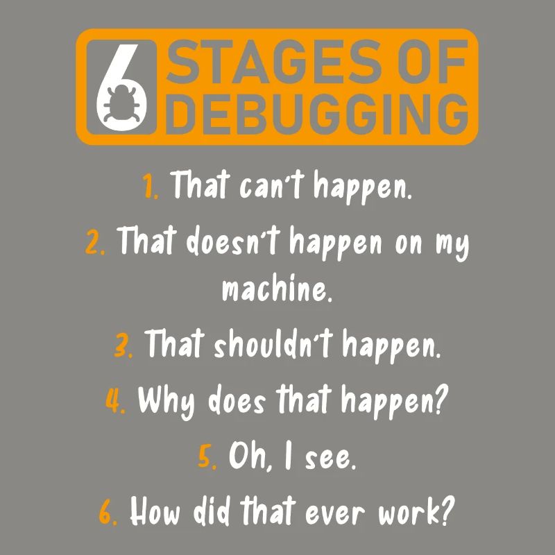 6 Stufen des Debugging Software Entwickler