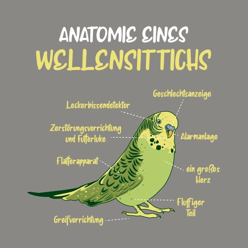 Anatomie d’une perruche à perruche