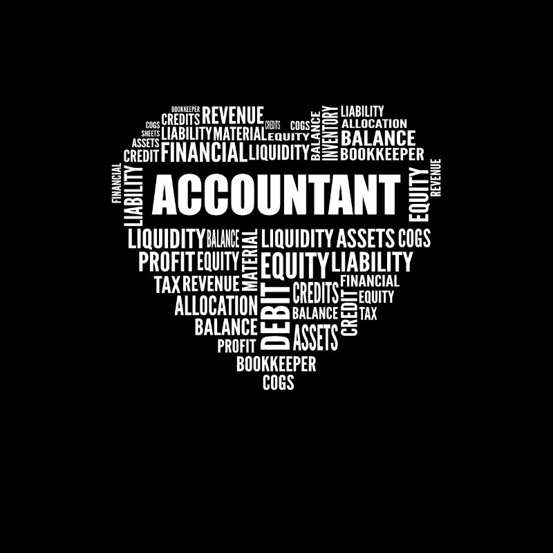 Comptabilité. Pour les CPA et les comptables