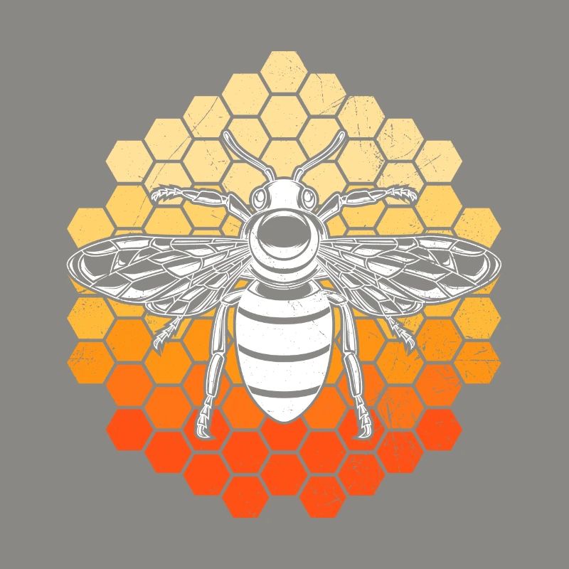 Bee on honeycombs Beekeeper