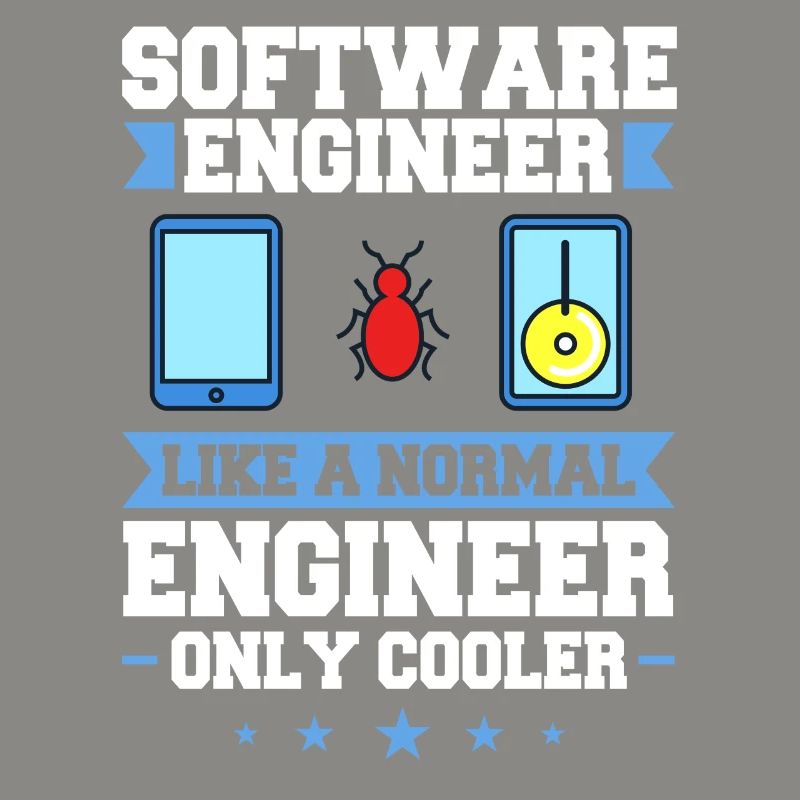 Software Engineering Softwaretechnik Ingenieur