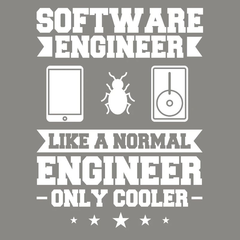 Software Engineering Softwaretechnik Ingenieur