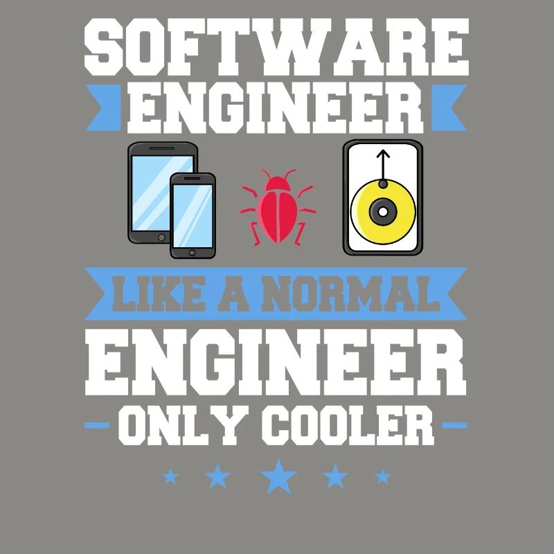 Software Engineering Softwaretechnik Ingenieur