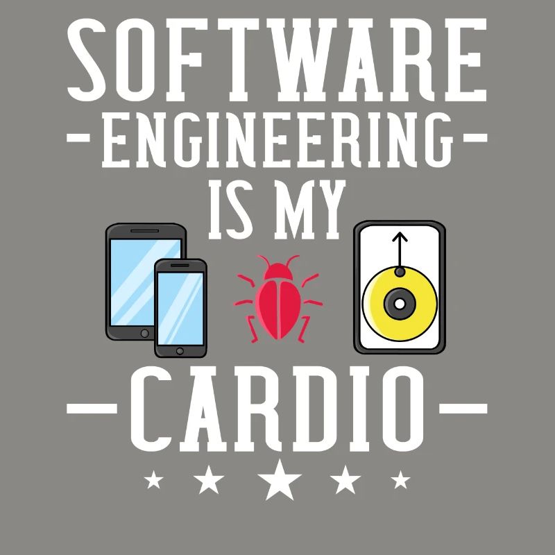 Software Engineering Softwaretechnik Ingenieur