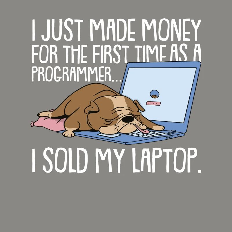 Programmer Coder Software Developer