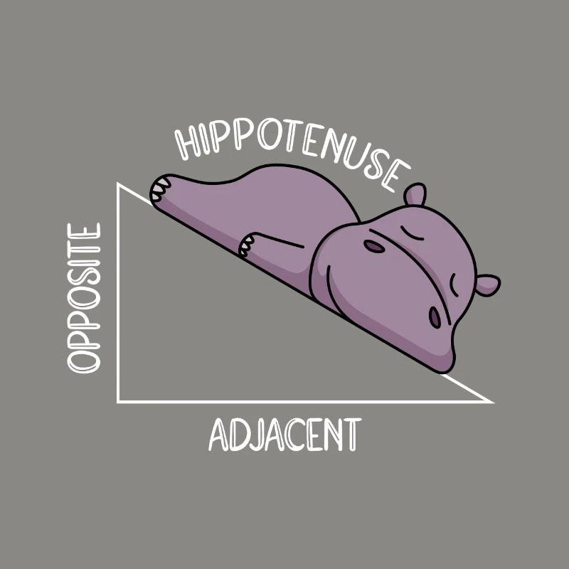 Algebra Math Student Math Teacher Hippotenuse