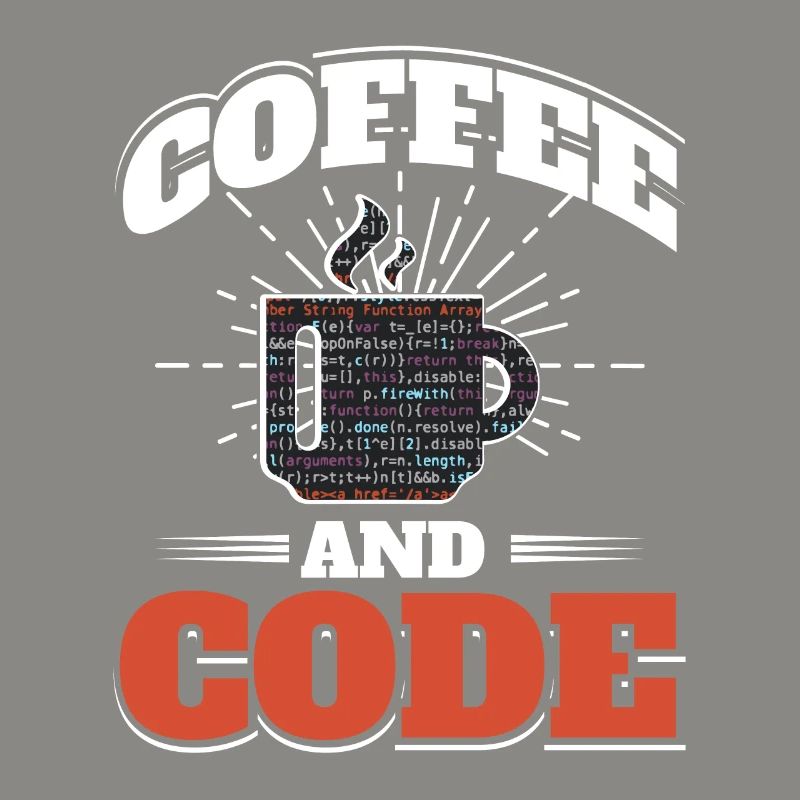 Software Computer Developer