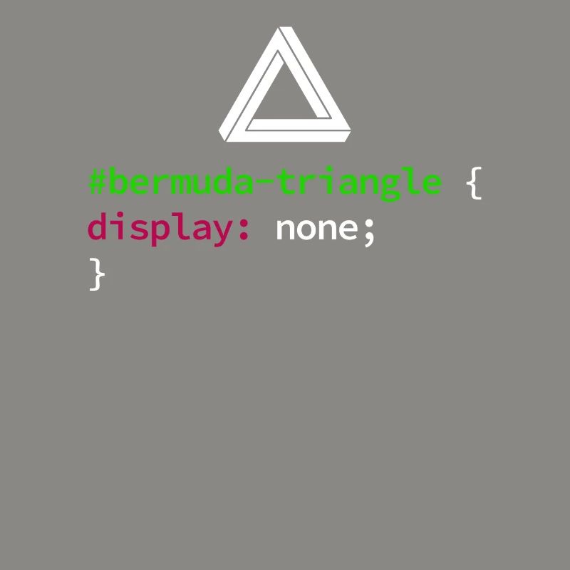 Web und CSS Programmierer Developer Coding Code