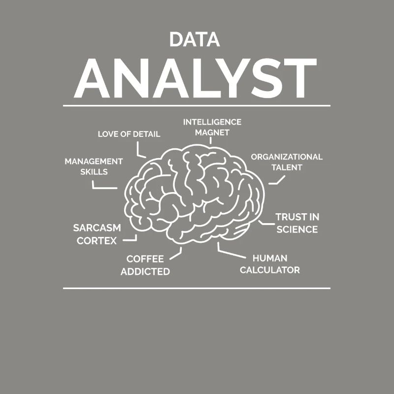 Data Analyst