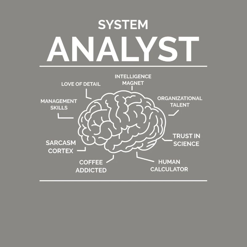 Analyste de systèmes