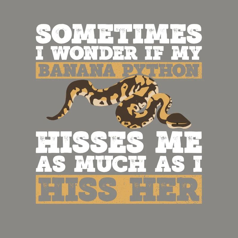 Banana Ball Python Königsphython