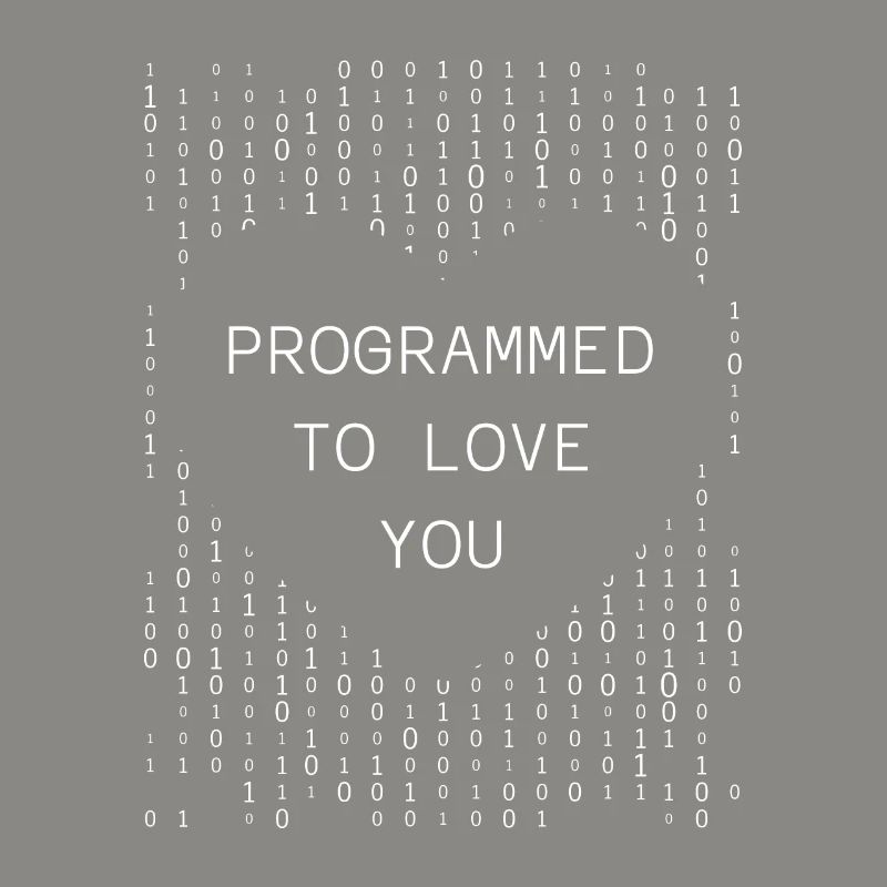 Developer Coder Programmer
