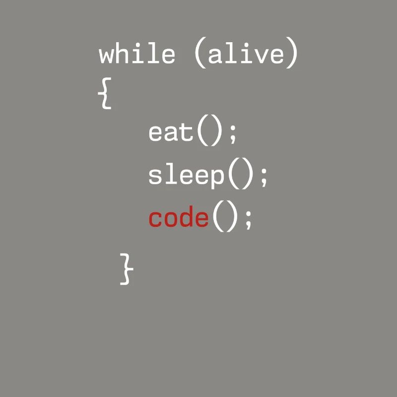Administrator Coding Geek Programmierer
