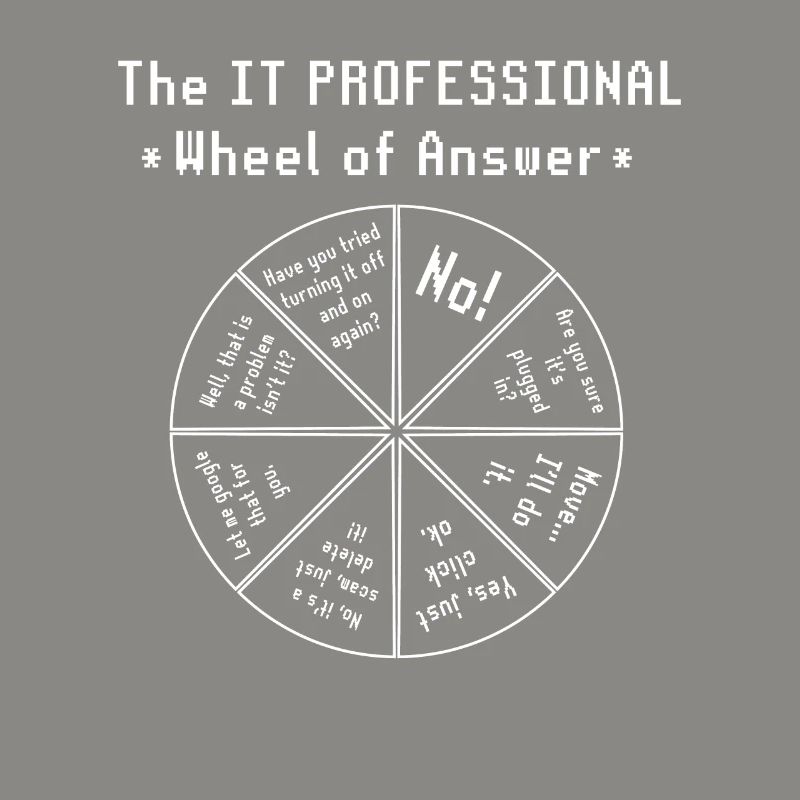 The IT Professional Computer Software Programmer