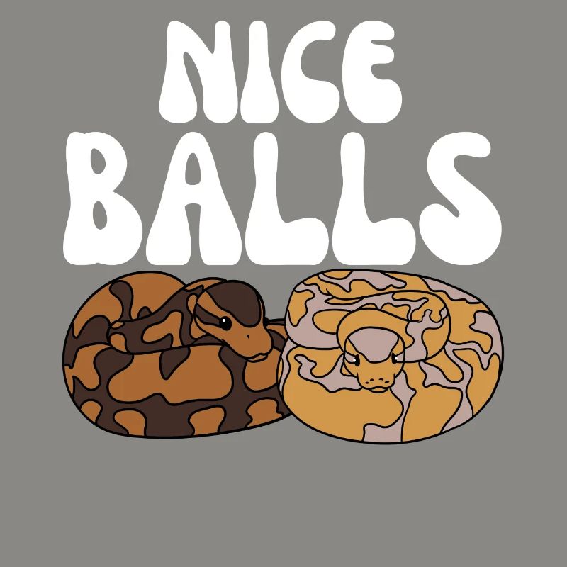 Serpent python royal