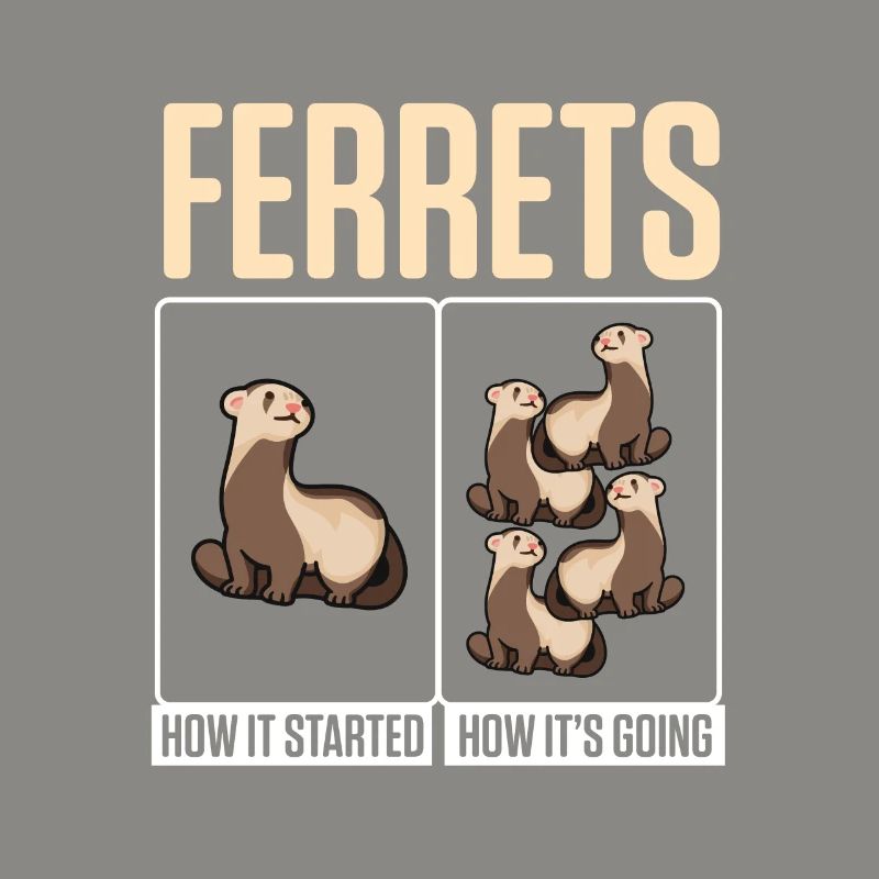 Weasel Cute Ferrets How It Started How It's Going