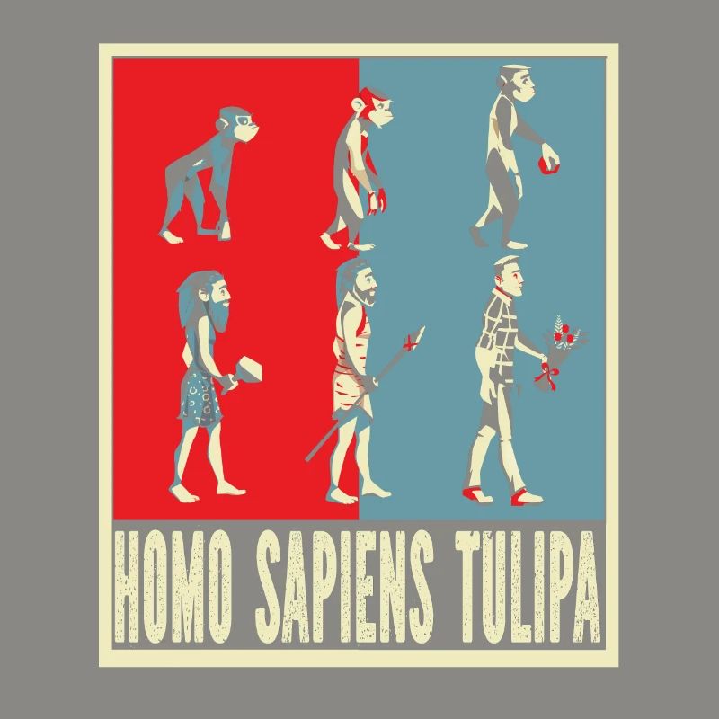 Tulipes Evolution Tulipes