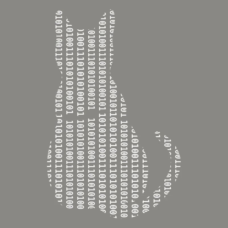 Informaticien Cat Admin Programmeur