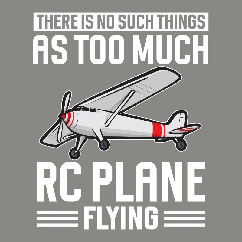 Modèle d’avion télécommandé