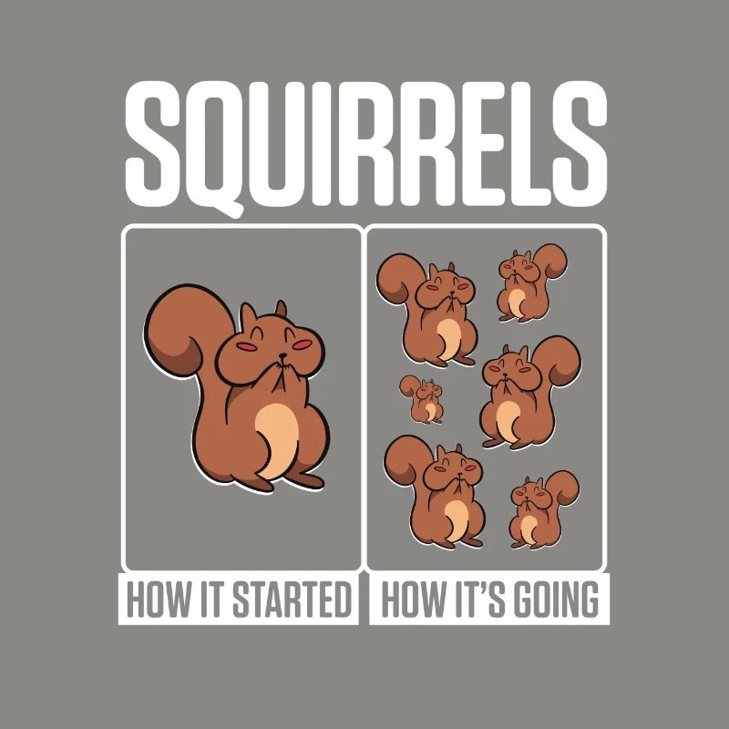 Funny Squirrels How It Started How It's Going Fore