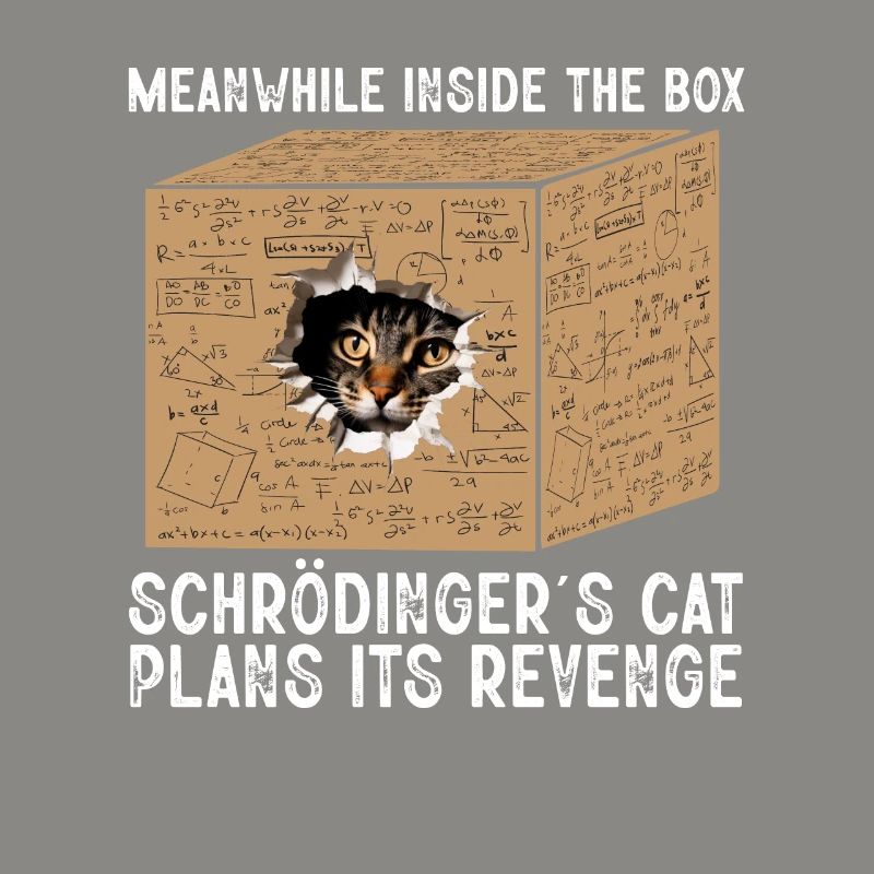 Meanwhile Inside The Box