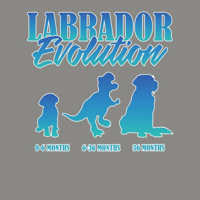 LABRADOR EVOLUTION Labrador Owner Funny