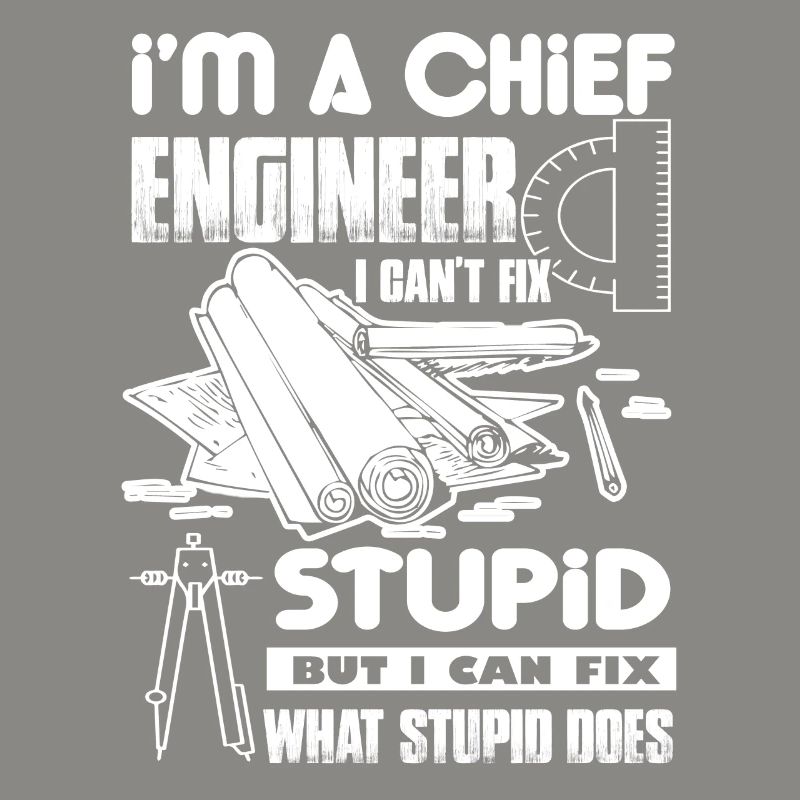 Chief Engineer I Cannot Fix Stupid