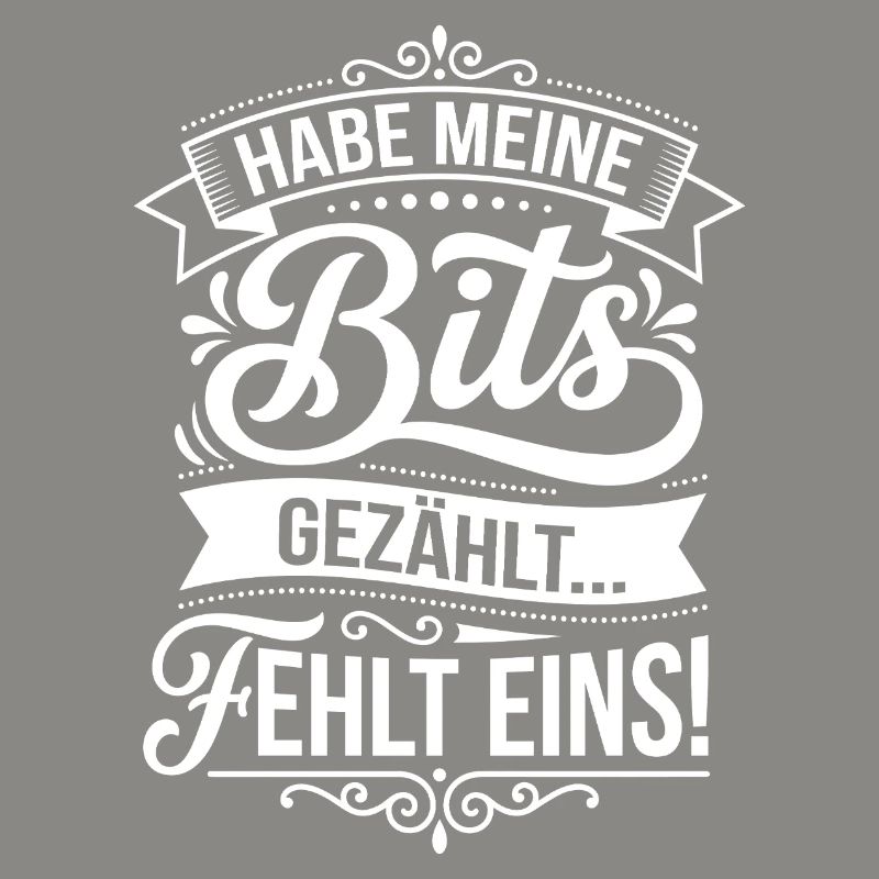 Habe Meine Bits Gezahlt... Fehlt Eins!