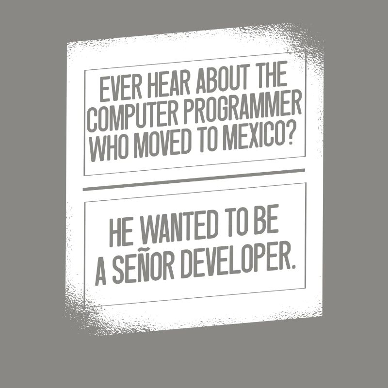 Programmer Coder Software Developer