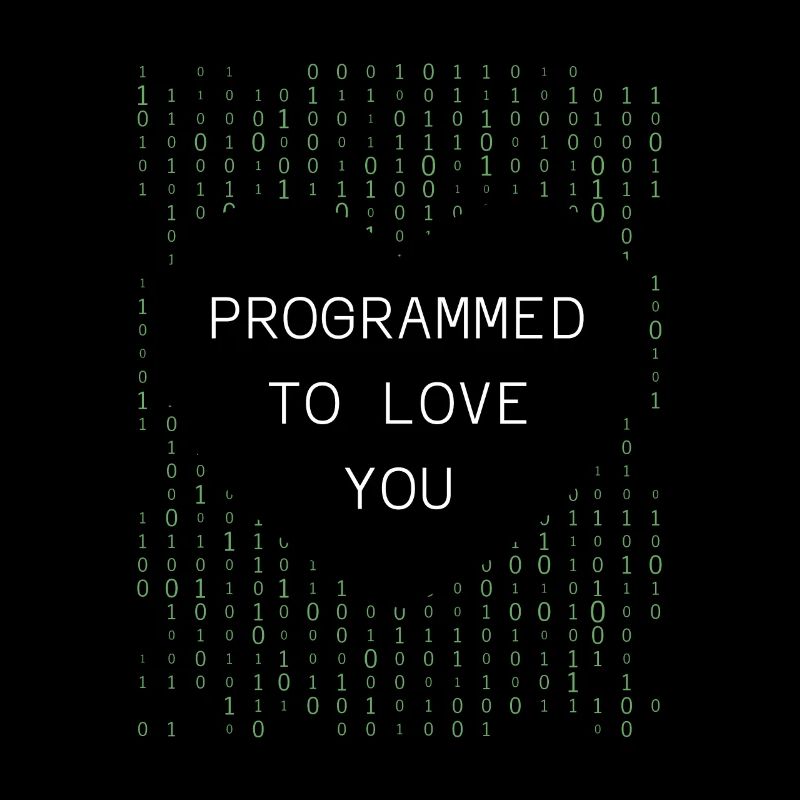 Developer Coder Programmer