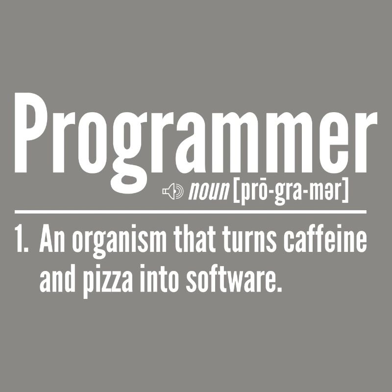 Programmierer