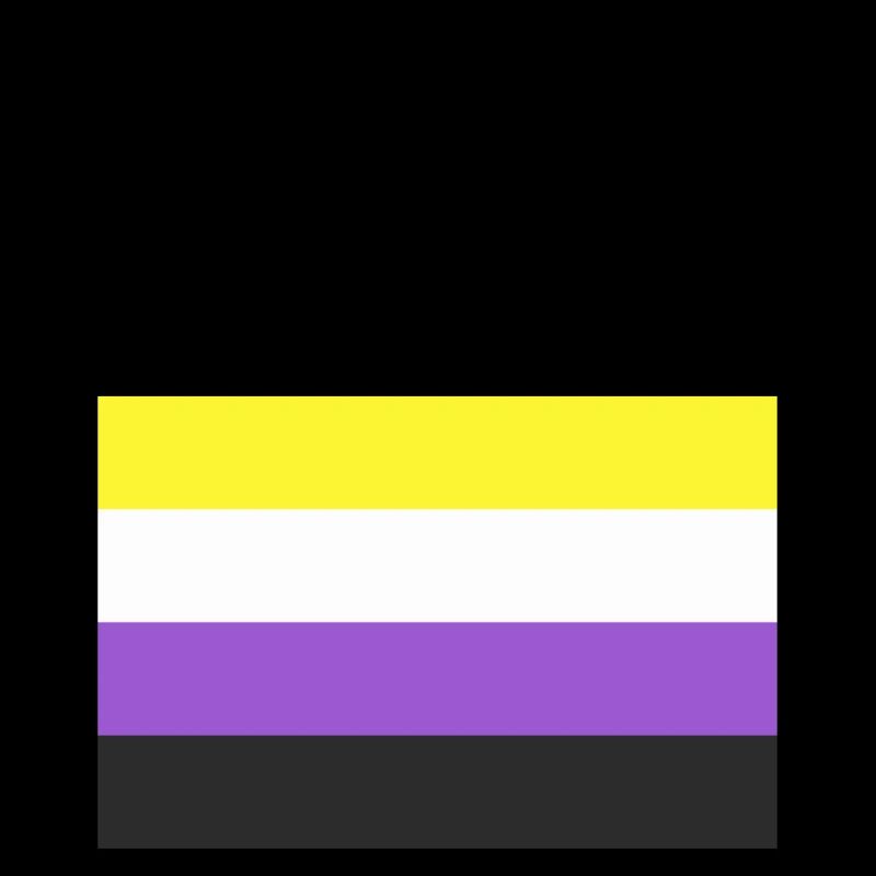 Non Binary Flag Defy Labels