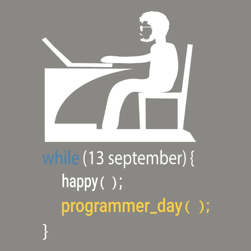 Softwareentwickler Programmierer Geschenk