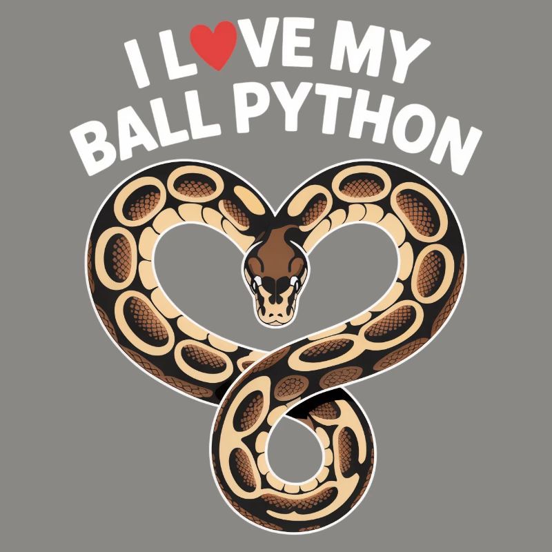 J’adore mon python royal ! Roi python