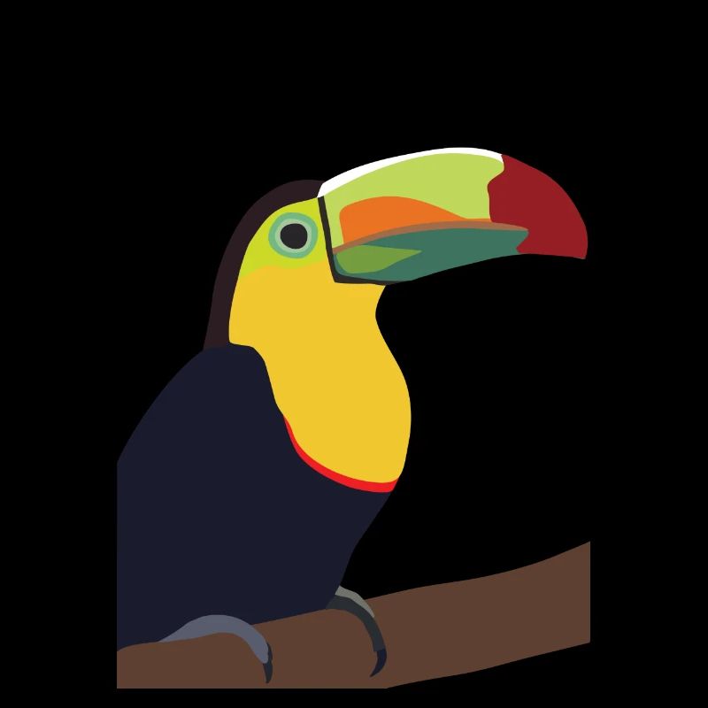Timmy, le Toucan