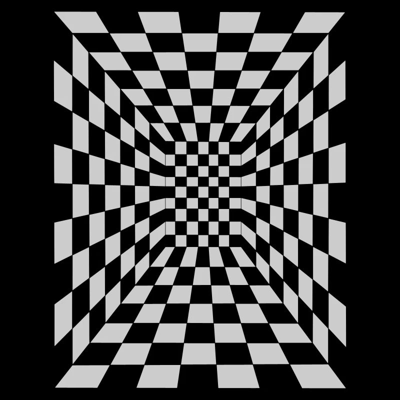 optical illusion 17