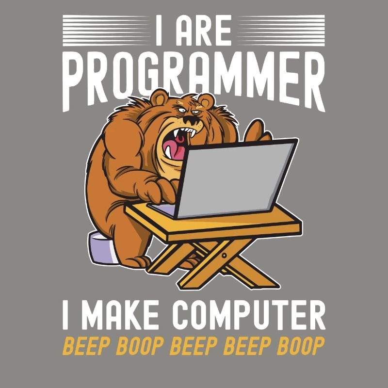 i am a programmer