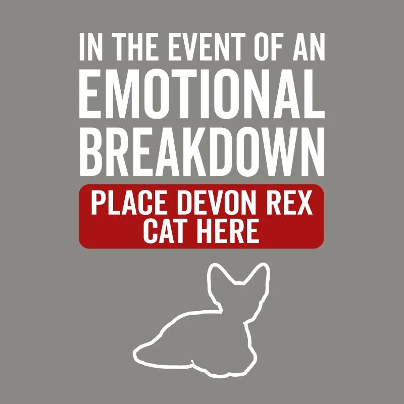 Emotional - Devon Rex Cat