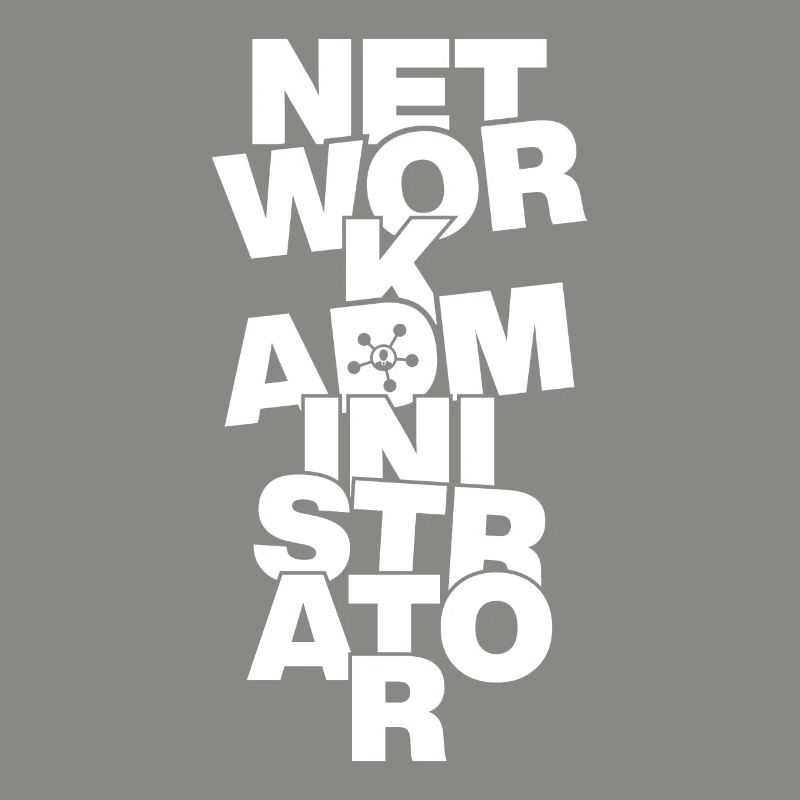 Professional Work - Network Administrator