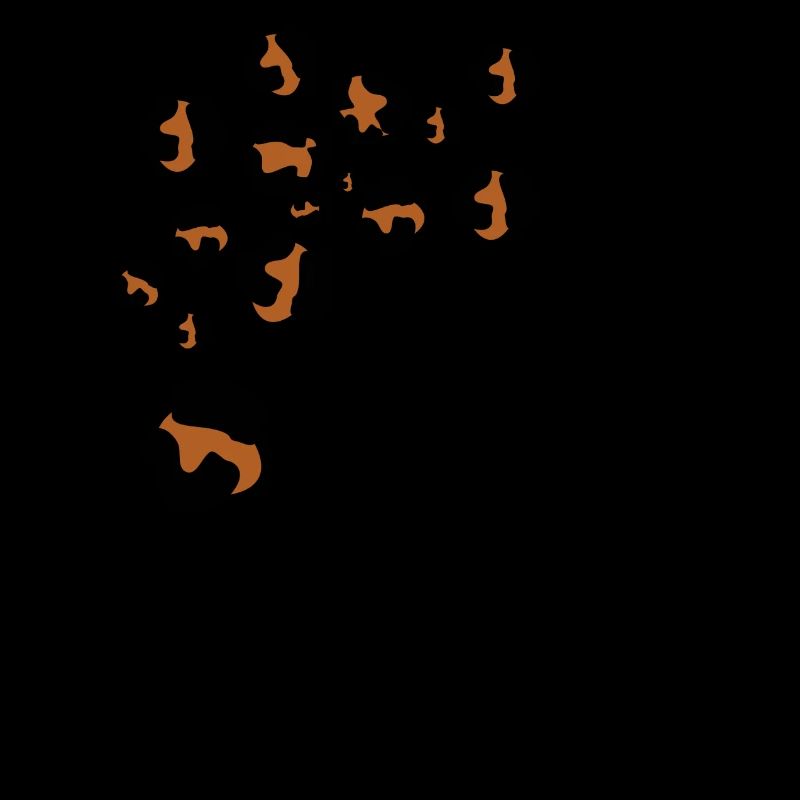 Letter c leopard patterns
