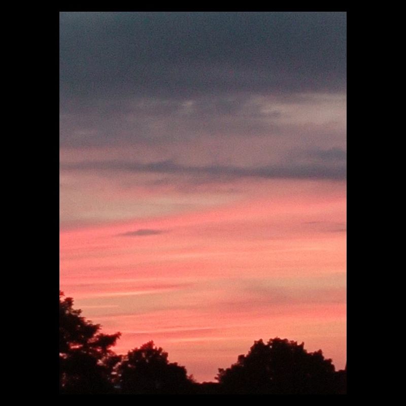 Sun Sunset Trees Pink Clouds